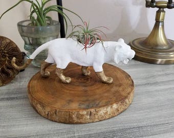 Hand Painted white and gold cat planter ~ air plant pot ~ cat toy planter