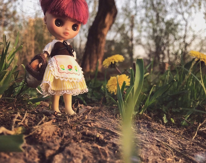 Blythe Petite Blythe