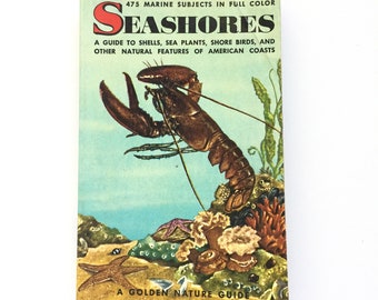 Seashores- Golden Nature Guide / Vintage Golden Guide / Vintage Field Guide / Book on the Ocean / Beach Book / Homeschool Book