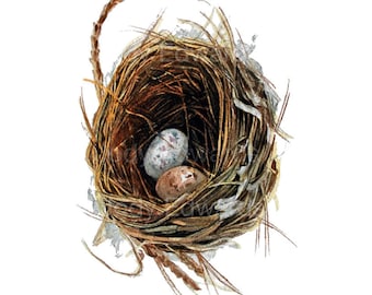 Woodland Nest with two eggs - Archival quality print based on the Original Watercolor