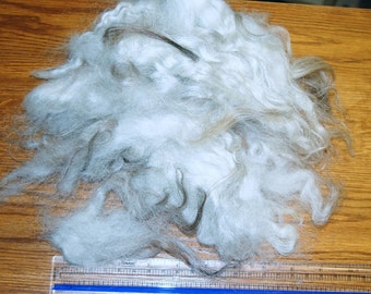 Karakul Sheep Wool Locks for Spinning, Felting, Santa Beards, Doll Hair, Doll Wig, Cream White with taupe gray streaks 1 oz.