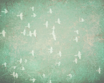 Vintage Birds Photography - 8x10 - bird art - fine art print - nature art - nursery print - vintage art print