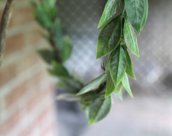 Olive Leaf Crown, tea leaf crown, green leaves crown, greek goddess crown woodland crown, flower crown, floral crown, olive leaves