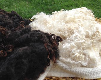 Natural White Wensleydale Fleece 50grms