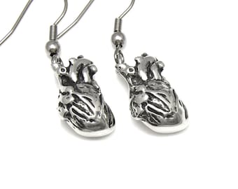 Anatomical Heart Charm Earrings Human Anatomy Jewelry