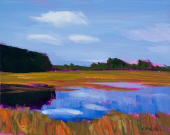 Maine Landscape Scarborough Marsh