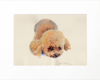 Poodle Mix watercolor painting, Giclee print