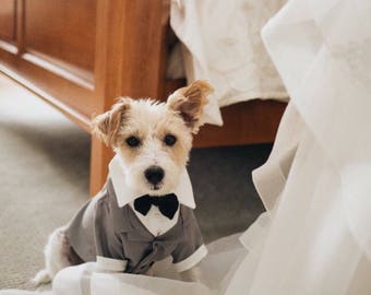 Dog Tuxedo 