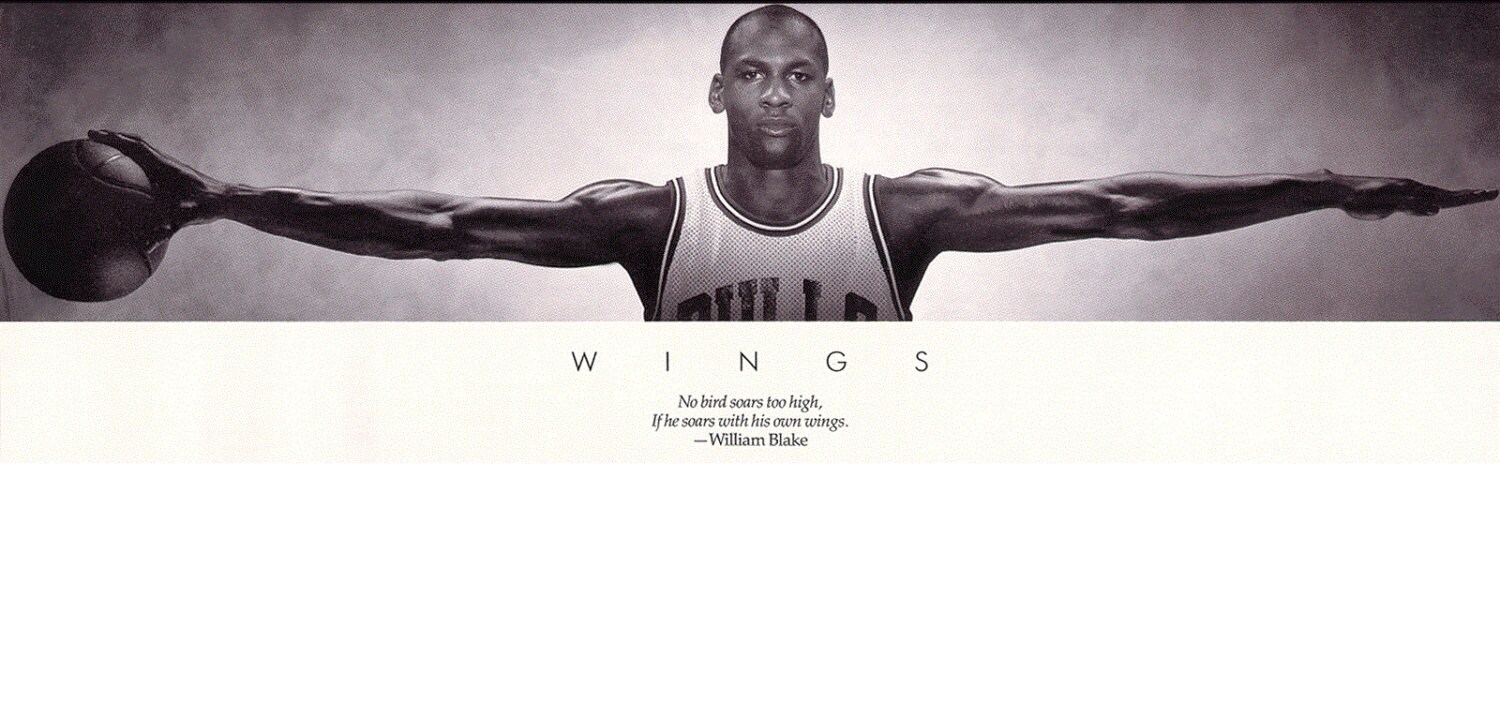 michael jordan wingspan