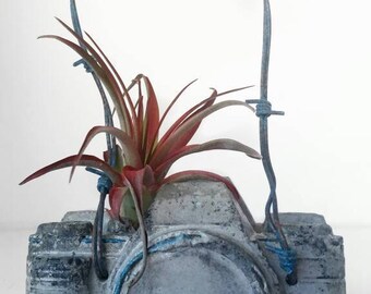Concrete Camera/Camera Air Planter/Air Planter/Photographer Gift/Air Plant holder/Camera Decor/Concrete Decor/Photographer Lover/Industrial