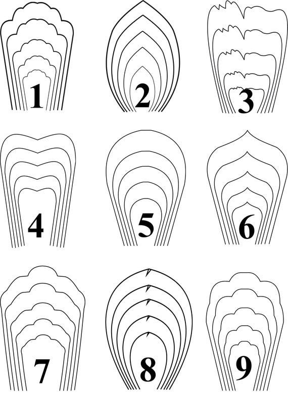 Paper Flower Templates Free Printable