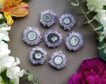 Small Amethyst Stalactite Slice > Natural Amethyst and Agate Crystal Slice from Uruguay > Purple, Green, White Crystal - 1-1.25" diameter