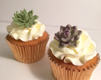 Cupcake toppers - Gum paste succulents - Set of 12