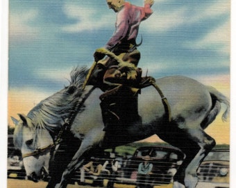 Bronco Busting at Arizona Rodeo Vintage Linen Postcard