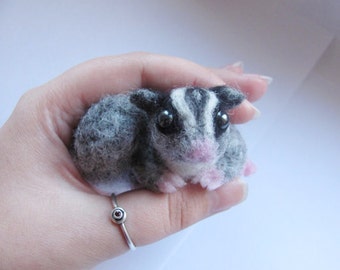 Sugar Glider