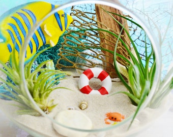 Fisherman's Cove Terrarium - Round Glass Globe Terrarium Kit with Tillandsia Air Plants - Beach Decor - Father's Day Gift Idea