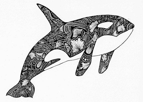 Download Orca Print Zentangle Orca Drawing Art Prints Black and