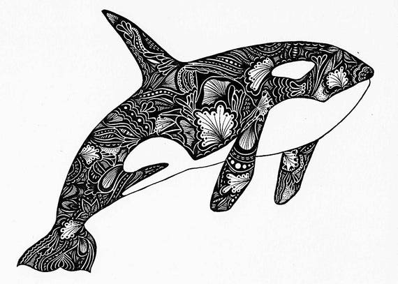 Download Orca Print Zentangle Orca Drawing Art Prints Black and