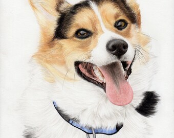 Custom Colored Pencil Pet Portrait