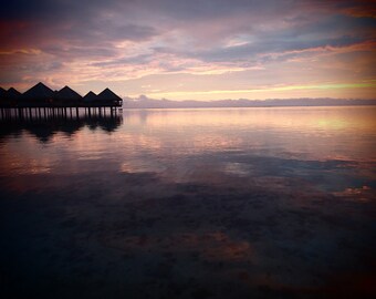 Kissed in Tahiti -- 8x10 Original Signed Fine Art Photograph