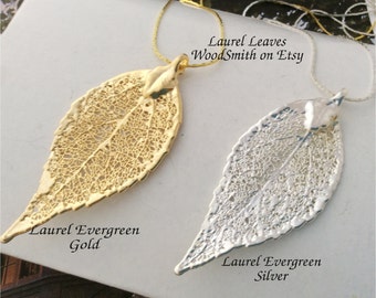Real Laurel Evergreen Leaf, 24K gold or Sterling Silver Dipped, cobra chain, real leaves jewelry Natures Leaves