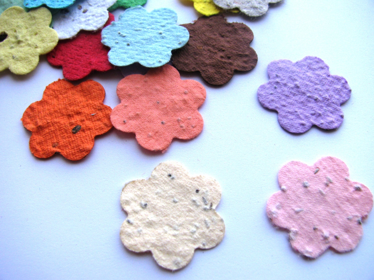 100 Plantable confetti FLOWERS choose from 16 colors