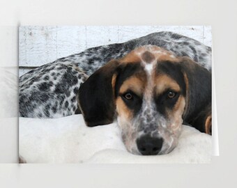 Greetings Card.Customisable, Artist card, birthday card,