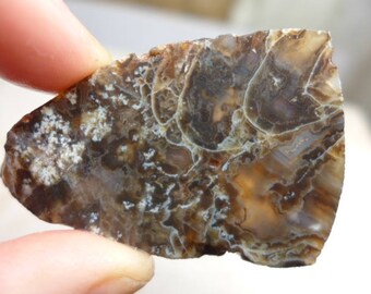 Horse Canyon Agate Preform Cabochon