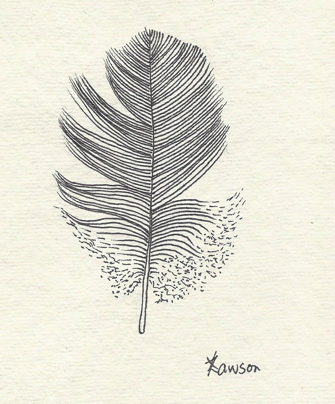 Ink feather drawing Clearance
