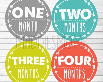 Baby Boy Month Stickers Printable Turtle Monthly Baby