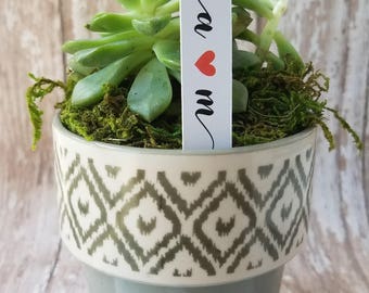 Monogram Succulent Stake, Succulent Stake, Wedding Favor Plant Tag, Flag Tag, Plant Stake, Wedding Favor, Baby Shower, Plant (S10)