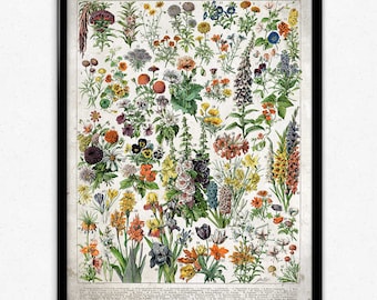 French Flowers Fleurs Vintage Print 3 - Flower Poster - Flower Art - Flower Picture - Home Decor - Home Art - Living Room - Living Room Art