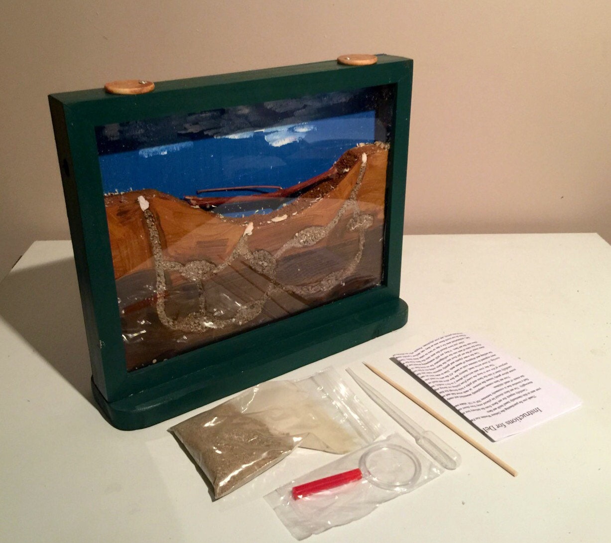 Classic Wooden Ant Farm for Scientist Boys Girls birthday