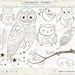 Owl Digital Stamp Outline, Cute Woodland Owl Line Art, PNG Doodle + Photoshop Brush, Owl Hand Embroidery Clip Art Pattern Download