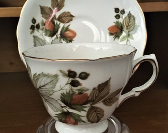 Royal Vale Teacup and Saucer - Autumn Berries - 8318
