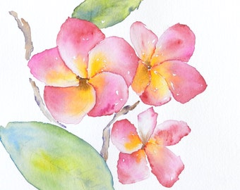 Plumeria Watercolor Print, Watercolor Prints, Art Prints