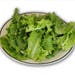 600 Endive, Escarole Mix * Organic, Non-Gmo!! 600 Seeds ... seeds galore