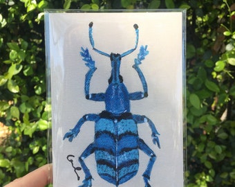 Blue Weevil Beetle Print