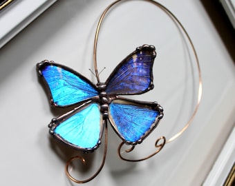 Real Blue Morpho Butterfly Brass Torc, Butterfly Choker