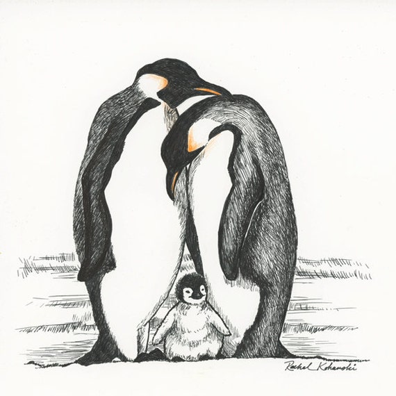 Pen and Ink drawing of penguin family Print