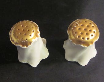 Antique Rosenthal & Co. Salt and Pepper Shakers Bavaria
