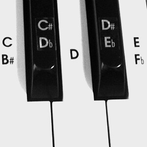 Piano Keyboard Sticker Set