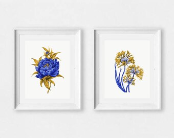 Botanical Illustration Set of Two Wall Prints