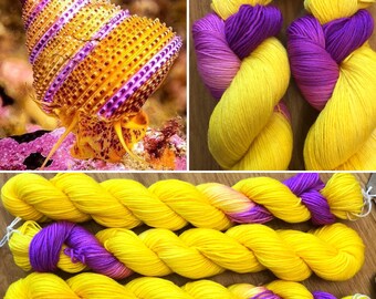 Purple Ring Top Snail Miniskein 20g, merino nylon sock yarn