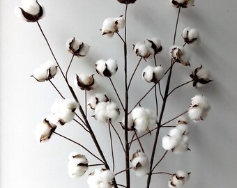 Faux Cotton Stems~3 stems/Pack ~29" Cotton Boll Stem~Rustic Cotton Buds Decor