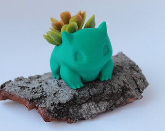 Bulbasaur Planter, Pokemon Planter, Succulent Planter, Air Planter Many Colors