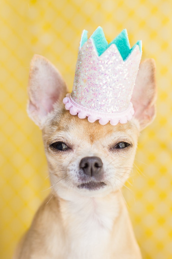 Dog Glitter Crown || Animal Birthday Hat || Dog Party Hat || Dog Crown || Dog Birthday Crown || Pet Party Hat