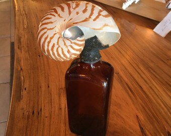 Vintage Bottle with Nautilus Shell on Top