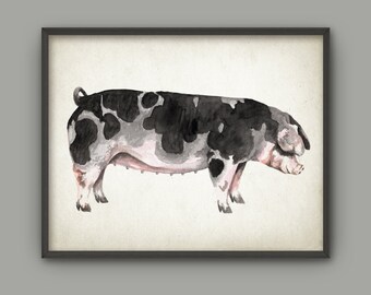 Pig watercolor | Etsy