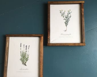 Farmhouse Botanical Print set with barn wood frame 2 prints 10x12 inches